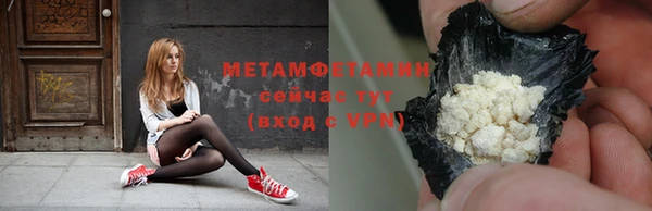 прущие грибы Медвежьегорск