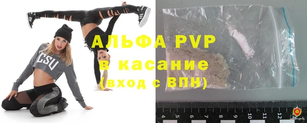 прущие грибы Медвежьегорск