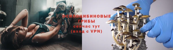 марки lsd Алексеевка