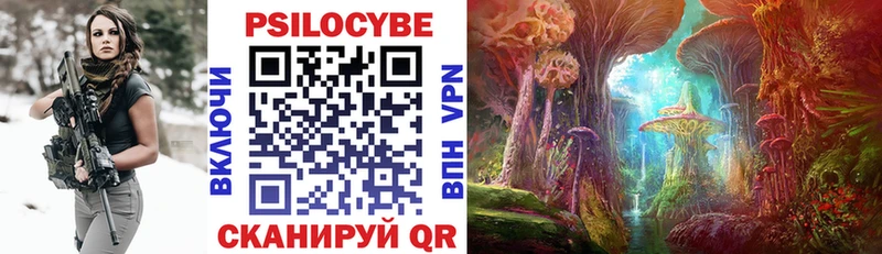 Галлюциногенные грибы Psilocybine cubensis  Мыски 